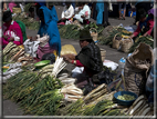 foto Ecuador